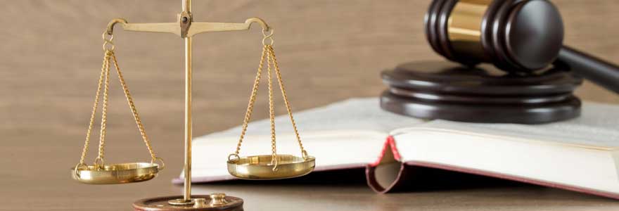 Comment se spécialiser en droit du travail ?